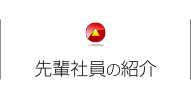 先輩社員の紹介