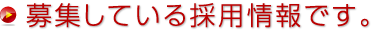 募集している採用情報です。