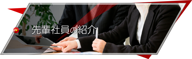 先輩社員の紹介